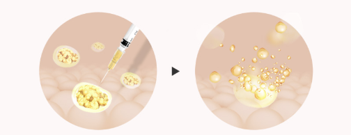 원, 만화영화, 노랑이(가) 표시된사진AI 생성콘텐츠는정확지않을수있습니다.