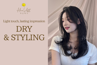 DRY & STYLING product image