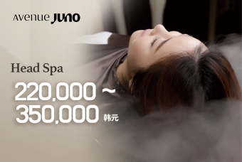頭皮養護SPA product image