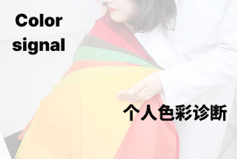 个人色彩诊断 product image