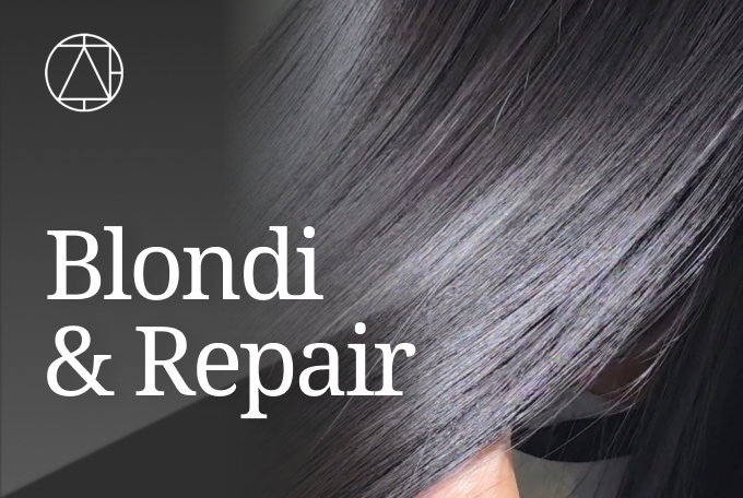 Blondi Hair Repair product image
