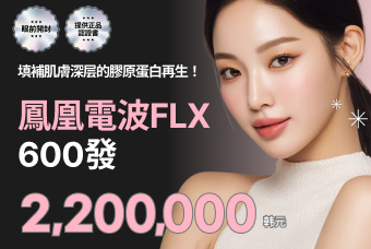 鳳凰電波FLX 600發 product image