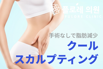 手術なしで脂肪減少 クール スカルプティング product image