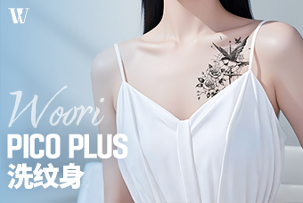 WOORI  PICO PLUS洗纹身 product image