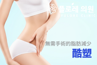 無需手術的脂肪減少 酷塑 product image