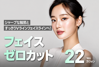 新沙_フェイス脂肪溶解注射 シャープなVラインのための脂肪溶解注射 product image