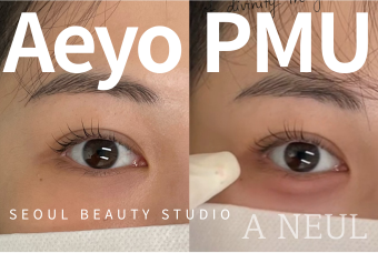 韩国卧蚕半永久 (K-Aegosal PMU) product image