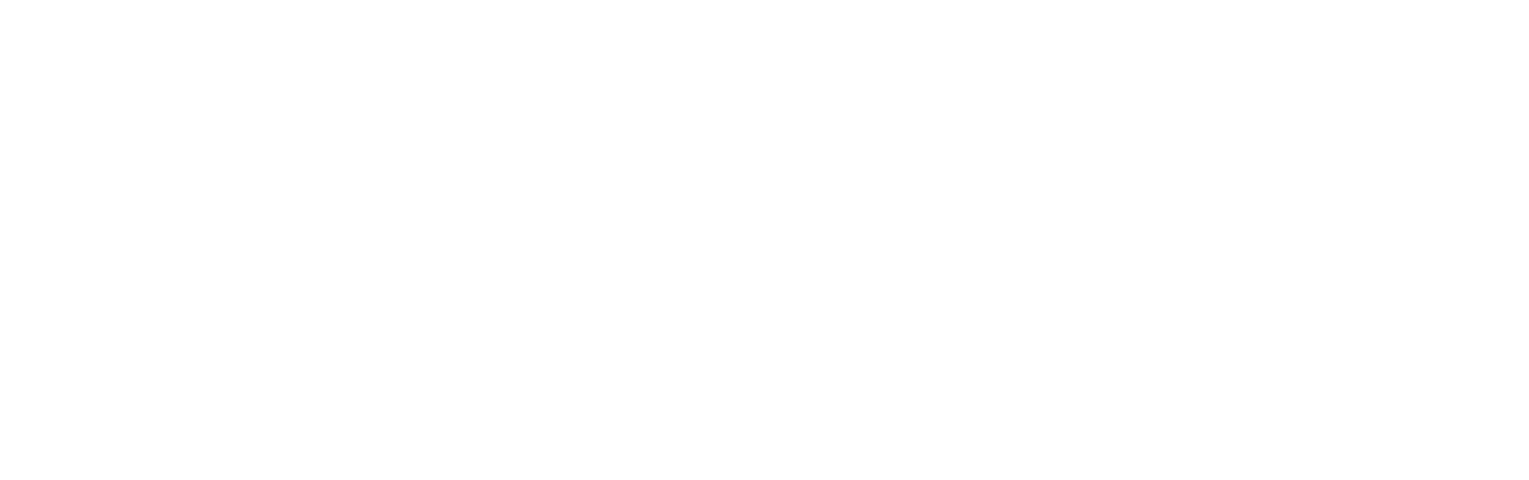 L LUS J logo