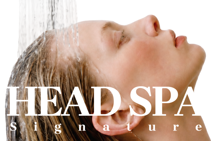 HEAD SPA Signature product image