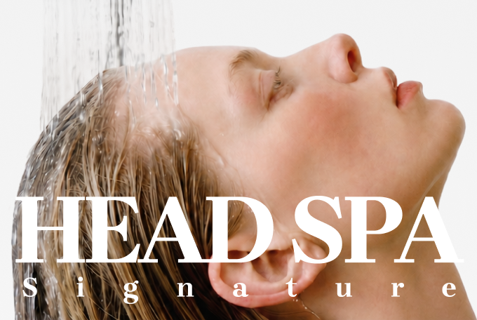 HEAD SPA Signature product image